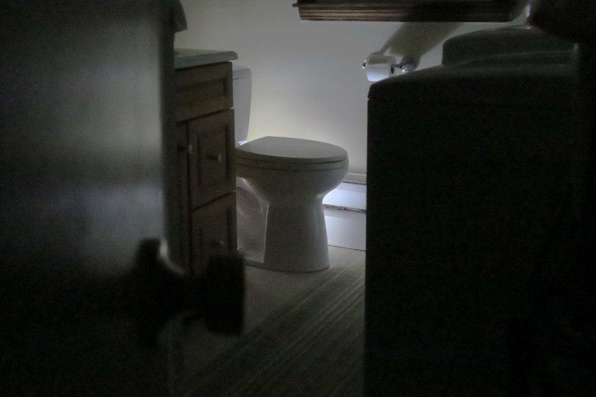 Bathroom toilet at night